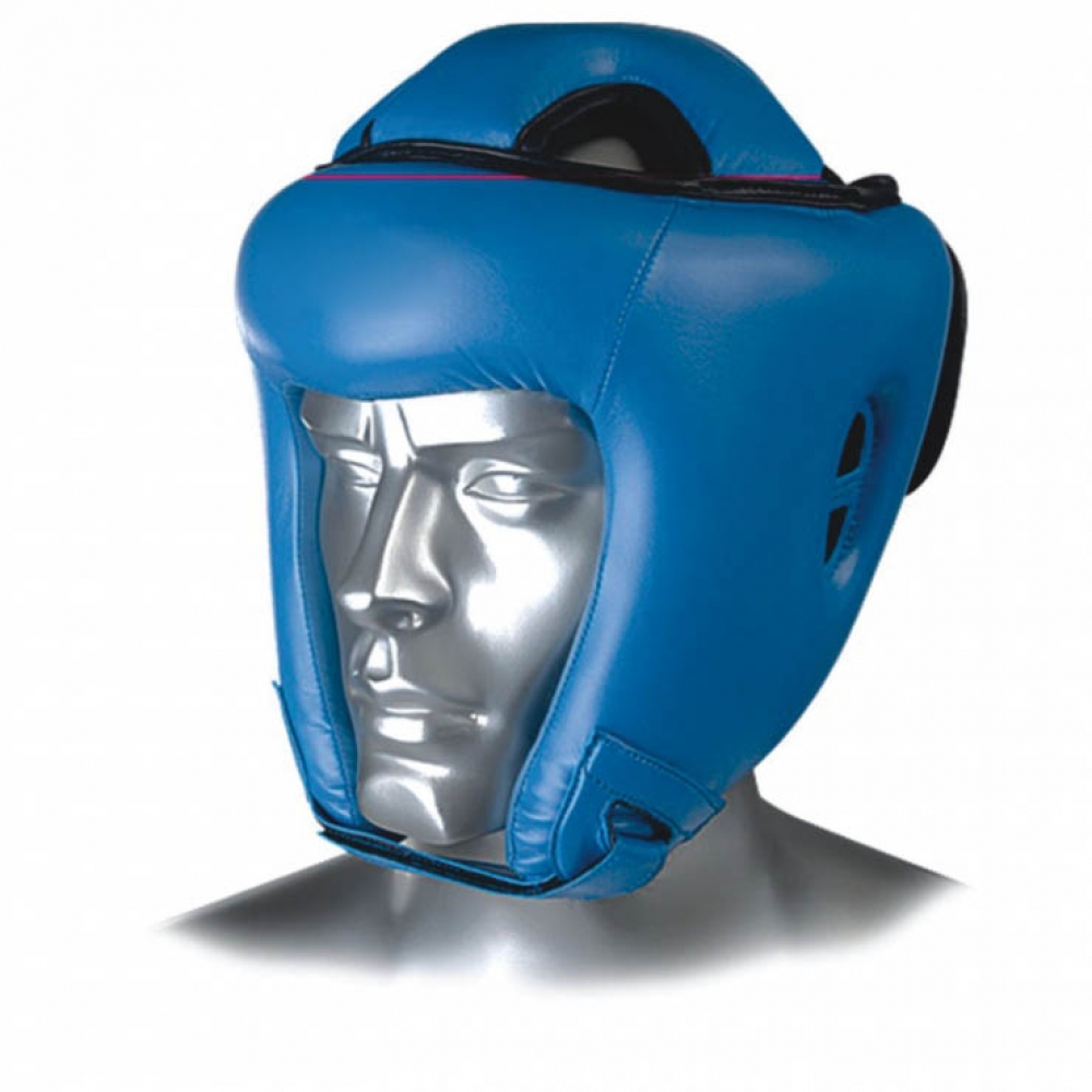 Head Guards